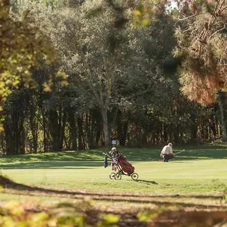 Moderne A Avec Piscine Chauffee, 3 Et Cuisine Exterieure, Animaux Acceptes - Fr-1-379-167 *