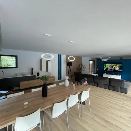 Villa Moderne A Avec Piscine Chauffee, 3 Et Cuisine Exterieure, Animaux Acceptes - Fr-1-379-167 Soustons