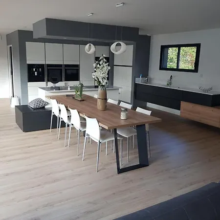Villa Moderne A Avec Piscine Chauffee, 3 Et Cuisine Exterieure, Animaux Acceptes - Fr-1-379-167 Soustons