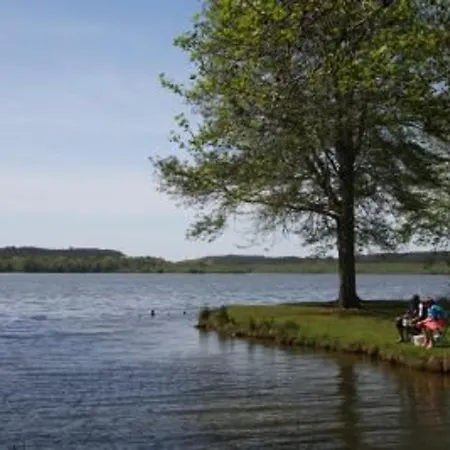 Moderne à Avec Piscine Chauffée, 3 Et Cuisine Extérieure, Animaux Acceptés - Fr-1-379-167 *