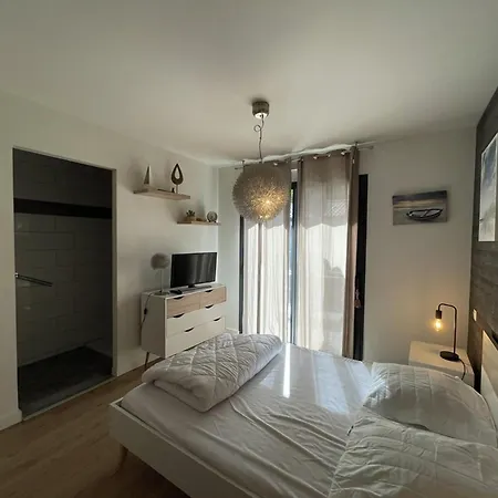 Moderne A Avec Piscine Chauffee, 3 Et Cuisine Exterieure, Animaux Acceptes - Fr-1-379-167 Villa Soustons